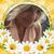 Deb Hall's profile image