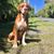 Amy Warnock's profile image