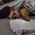Judy Lynn Hines's profile image