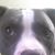 Don J Berchielli's profile image