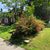 Leanne Ouimette's profile image