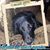 Cynthia Caruana Robertson's profile image