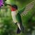 Mendi Wagoner's profile image