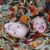 Deb Haas's profile image