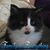Sandra D. Phillips's profile image