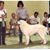 Tracey Rappaport Greenwood's profile image