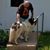 Mark Alan Wells's profile image
