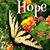 Peggy Bohler's profile image