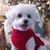 Lisa Woo's profile image