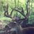 Tim Bushman's profile image