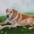 Erlena Sue Furgason Benning's profile image