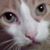 Monique Gawryk's profile image
