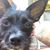 Jackie Steele's profile image