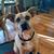 Sally Specht White's profile image