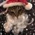 Donna Maddox's profile image