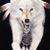 Chris Nemeth's profile image