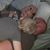 David Swanson's profile image