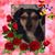 Susan Maka-Shaffer's profile image