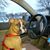 Martha Posada's profile image