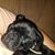 Ella Charming's profile image