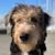 Carrie Culp's profile image