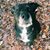 Trish Manduley Hurley's profile image
