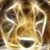 Adrenna Evicks's profile image