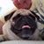 Eileen Kessler-Leddy's profile image