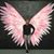 Shaneka L Johnson's profile image