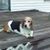 Sharon Albury Wynn's profile image