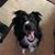 Virginia Marie's profile image