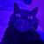 Jill Weinmann's profile image