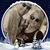 Wanda Greene's profile image