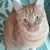 Susann Hixon's profile image