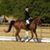 Julie Wall Hicks's profile image