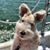 Noreen Mitchell's profile image