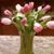 Sherry Green Davis Brazie's profile image