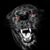 Fahd Smeh Sad's profile image