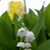 Carolyn Monroe's profile image