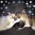 Paula Sullivan's profile image