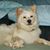 Donn Courselle's profile image