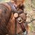 Carol Hightower's profile image
