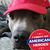 Rob Ruggiero's profile image