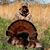 Pam Swenor's profile image