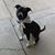 Gloria-Jean Allison's profile image