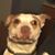David Scott Krenz's profile image