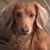 Craig Beauchamp's profile image