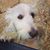 Jason S. Jamison's profile image