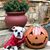 Scottie Penton Oliver's profile image