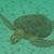 Cathi Bishop's profile image